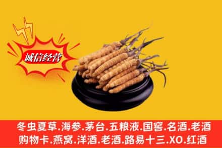 嵊泗县回收虫草多少钱每克
